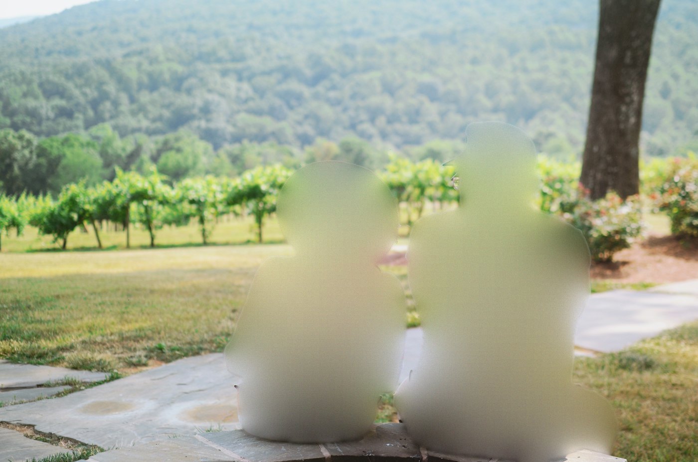 An older couple sitting together on a stone ledge, looking out over vineyards and green hills